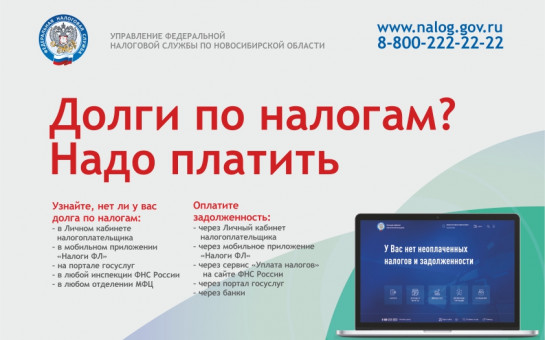 Как проверить долги по налогам: рекомендации УФНС России по Новосибирской области