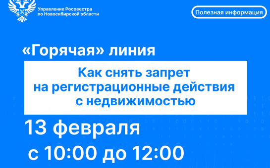 Как снять запрет на регистрационные действия с недвижимостью: «горячая» телефонная линия новосибирского Росреестра